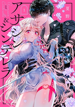 Assassin x Cinderella