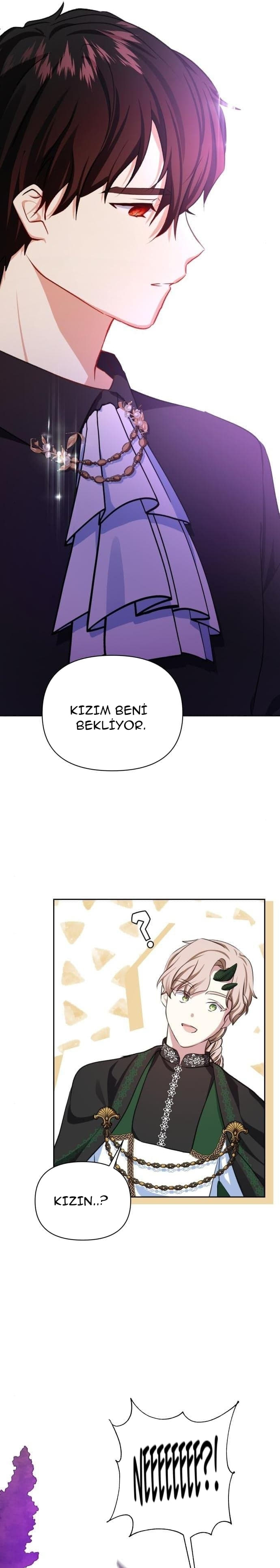 Sayfa 17