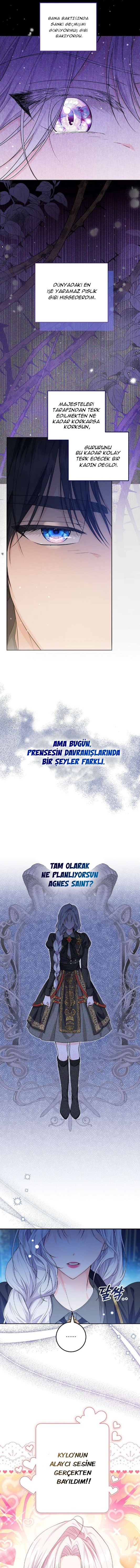 Sayfa 11