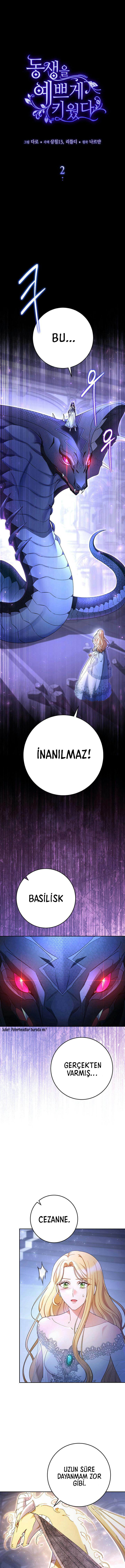 Sayfa 1