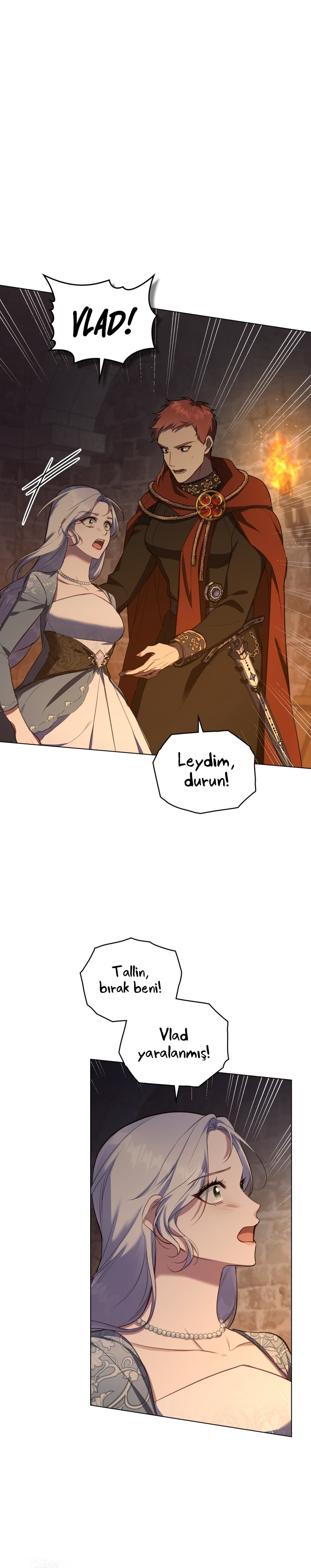 Sayfa 1